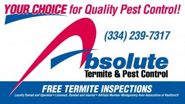 Absolute Termite & Pest Control