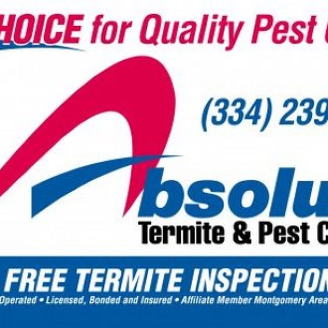 Absolute Termite & Pest Control