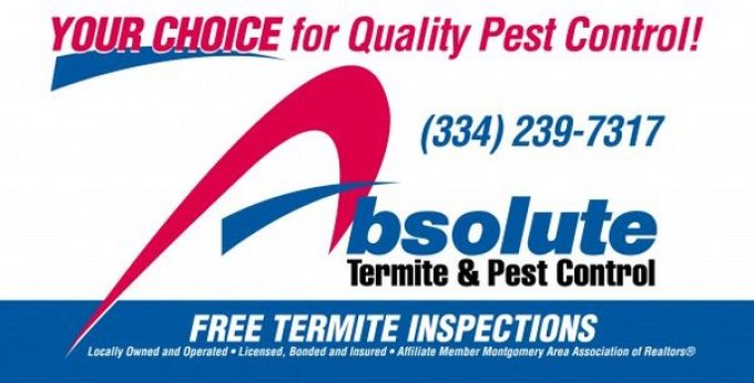 Absolute Termite &#038; Pest Control