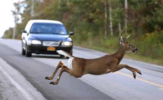 Auto Insurance with Strock Insurance in Prattville, AL