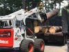 Tree Removal and Debris Cleanup from Taylor Tree Service