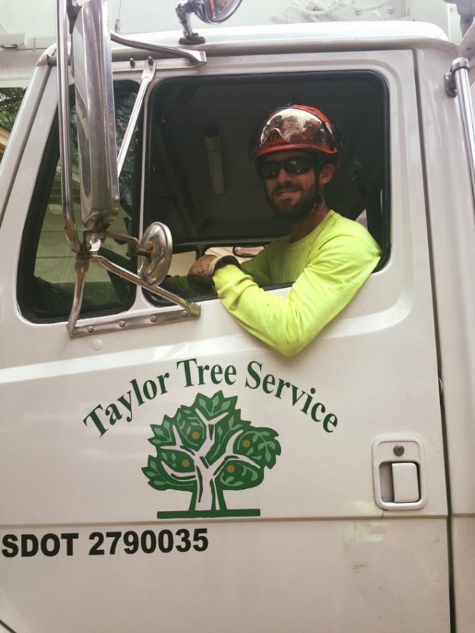 Professional Tree Services in Prattville and Montgomery, Alabama