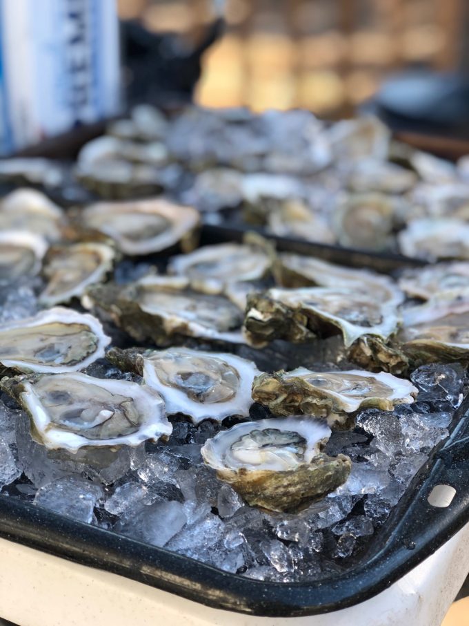 Fresh Oysters For Sale Prattville, AL