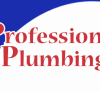 Professional Plumbing