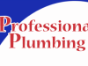 Professional Plumbing