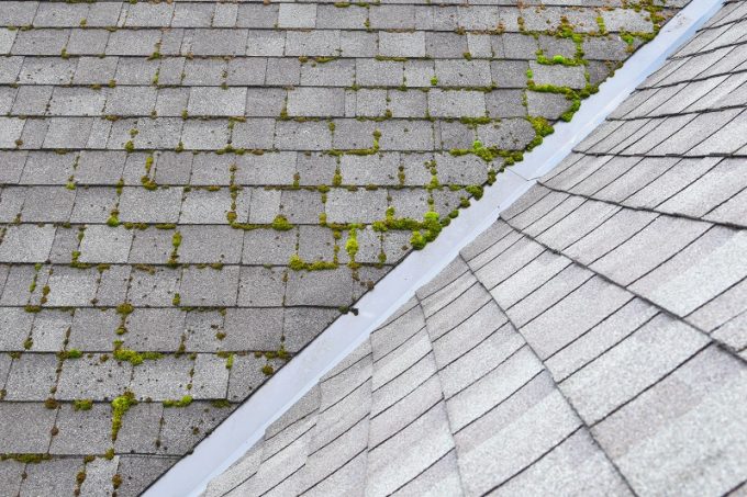 Roof Cleaning Prattville, AL | House Washing Prattville, AL
