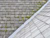 Roof Cleaning Prattville, AL | House Washing Prattville, AL