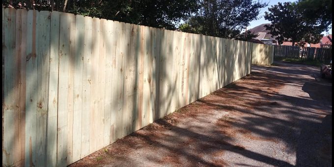 Privacy Fence
