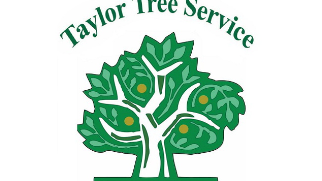 Taylor Tree Service