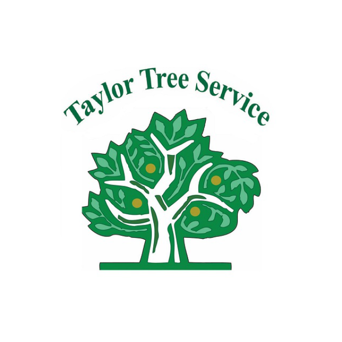 Taylor Tree Service