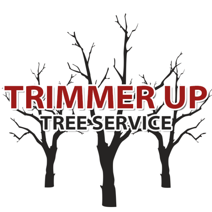 Trimmer Up Tree Service
