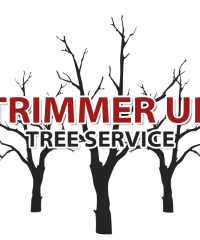 Trimmer Up Tree Service