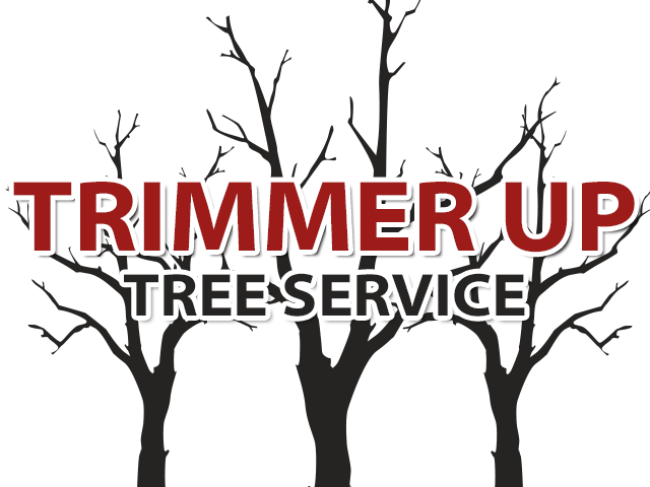 Trimmer Up Tree Service