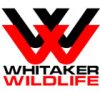 Whitaker Wildlife & Pest Removal