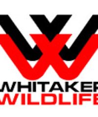 Whitaker Wildlife & Pest Removal