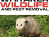 Animal Removal Services in Prattville, AL